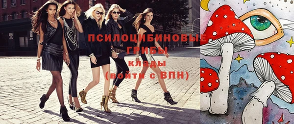 молекула духа Балахна