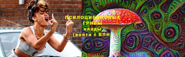 метадон Аркадак