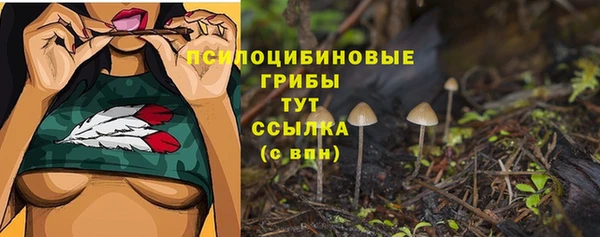 молекула духа Балахна