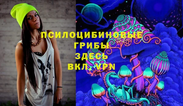 метадон Аркадак