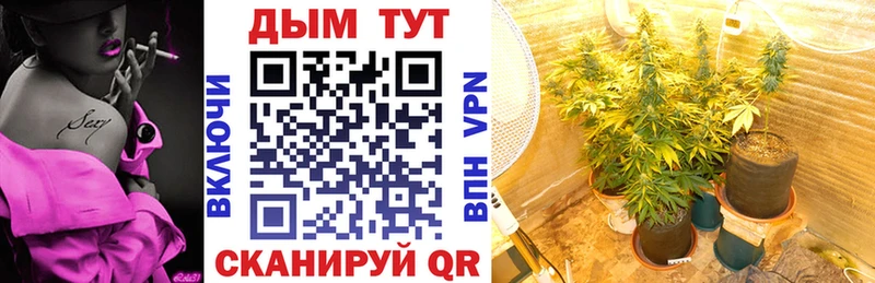 Шишки марихуана планчик  купить наркотик  Уяр 